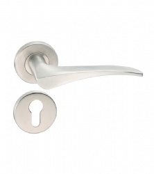 Exterior Door Handles Stainless Steel Front Door Handles for Home-SBLH019